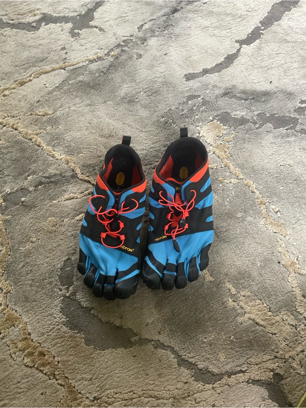 Vibram Five Fingers Shoe